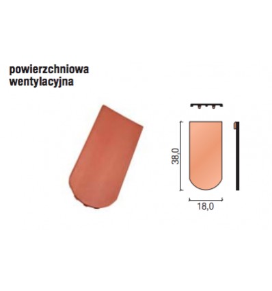 Karp.pół.pow.went.brąz.a