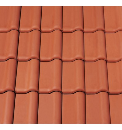 Cr Premion Naturalna czerw. - dach. podst.